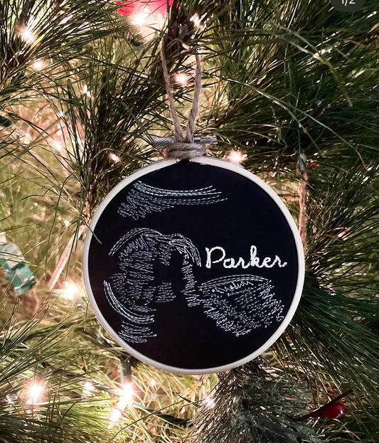 Custom Sonogram Digitizing