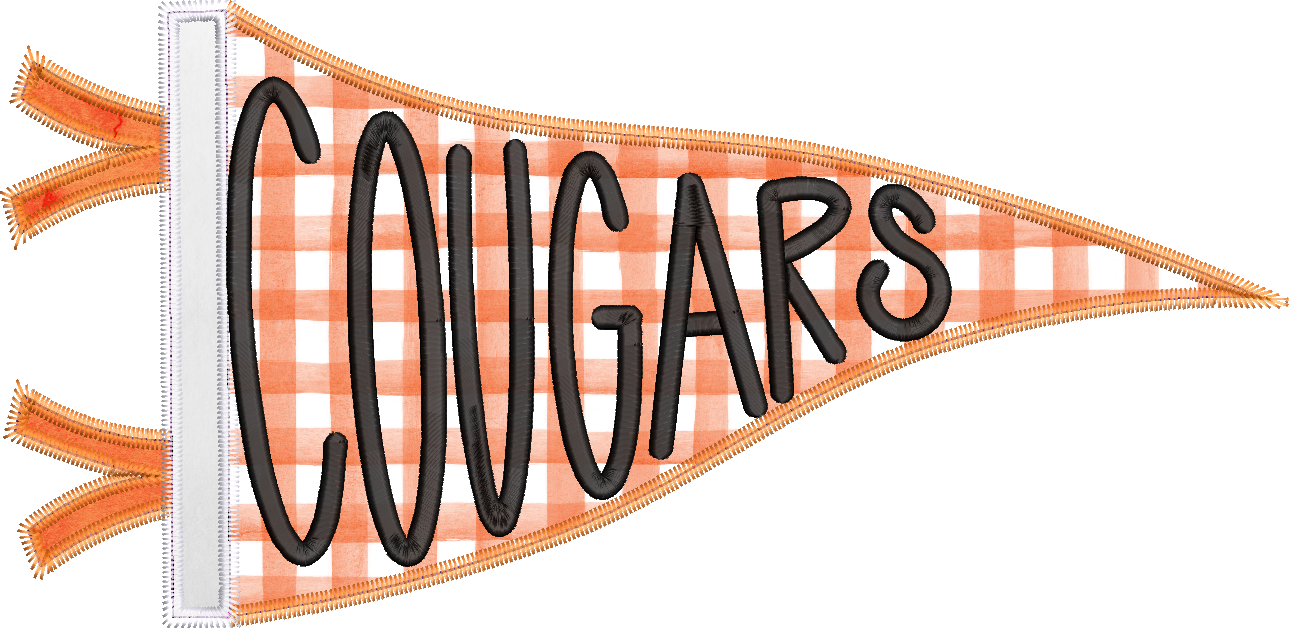 Cougars Handlettered Pennant Flag