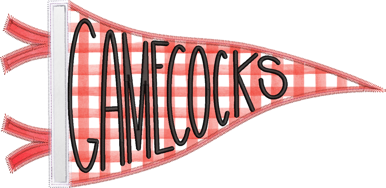 Gamecocks Handlettered Pennant Flag