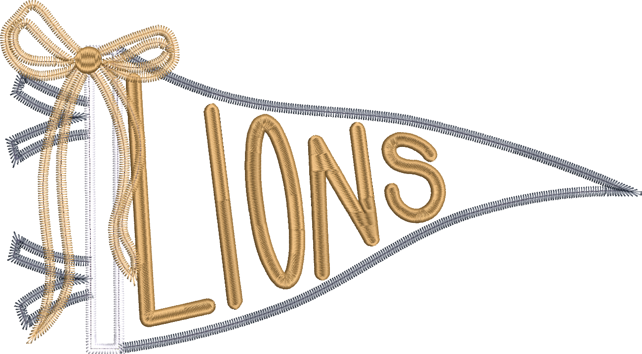 Lions Handlettered Pennant Flag