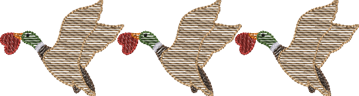 Sketch Fill Valenduck Trio