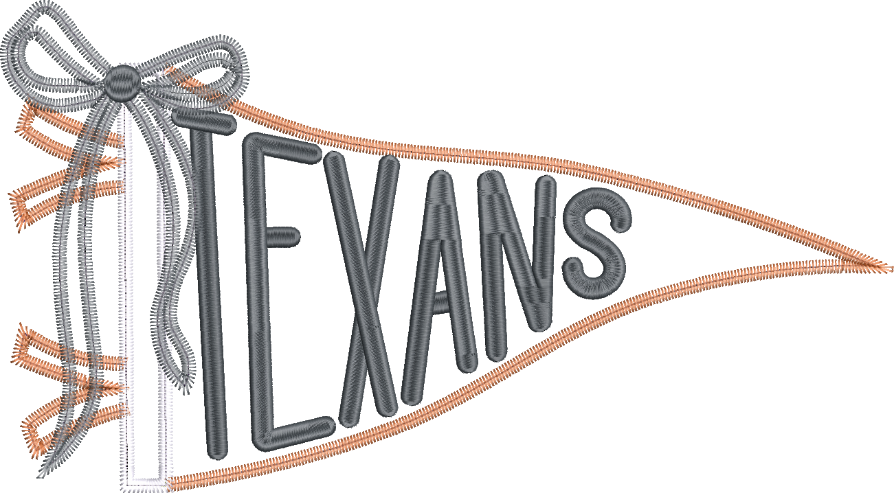 Texans Handlettered Pennant