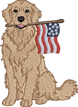All American Labrador
