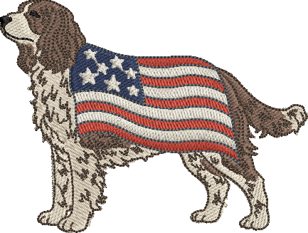 All American Spaniel