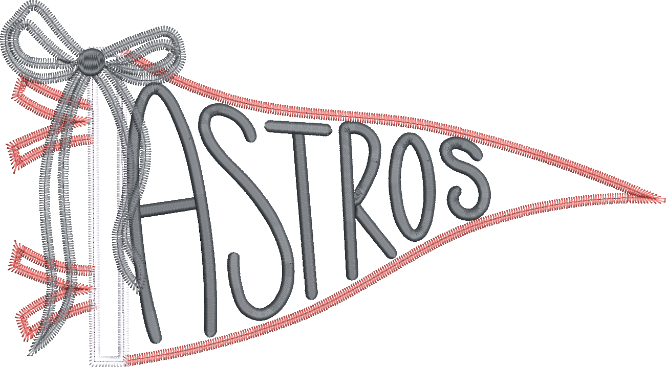 Astros Handlettered Pennant Flag