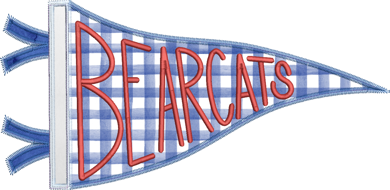 Bearcats Handlettered Pennant Flag