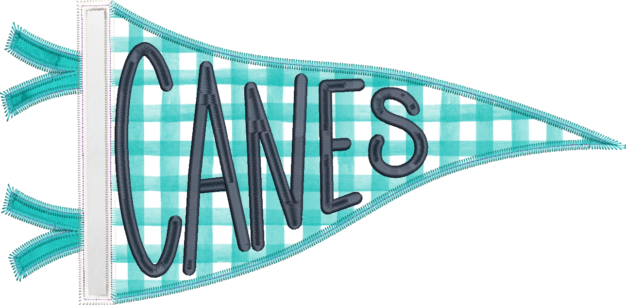 Canes Handlettered Pennant Flag