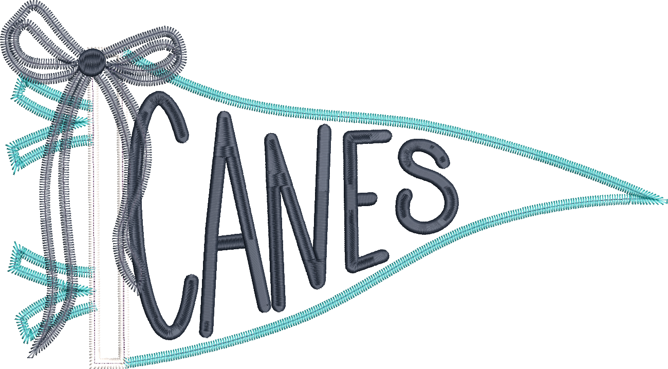 Canes Handlettered Pennant Flag