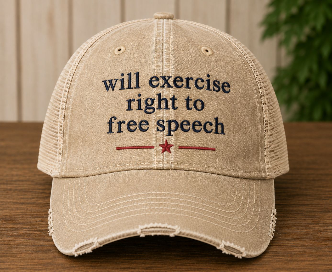 Free Speech