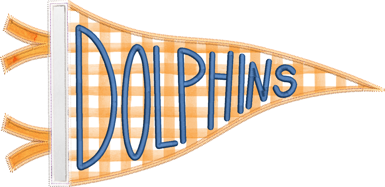 Dolphins Handlettered Pennant Flag