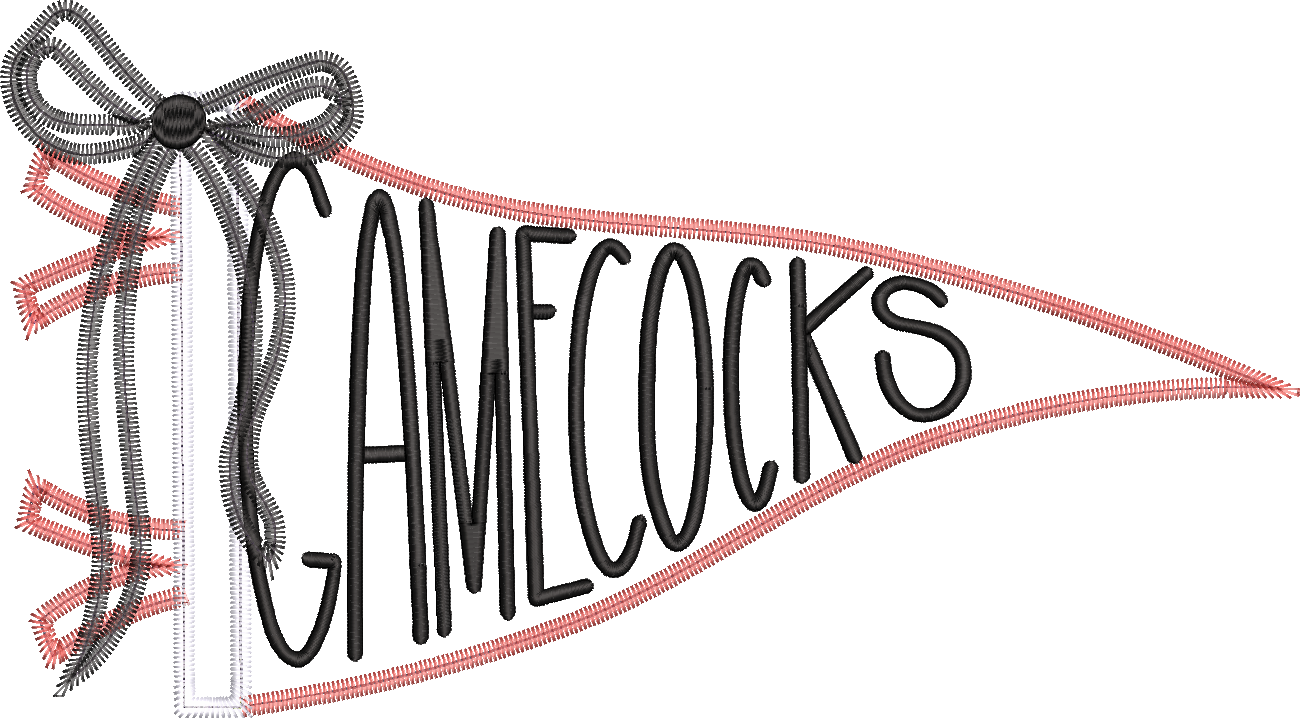 Gamecocks Handlettered Pennant Flag
