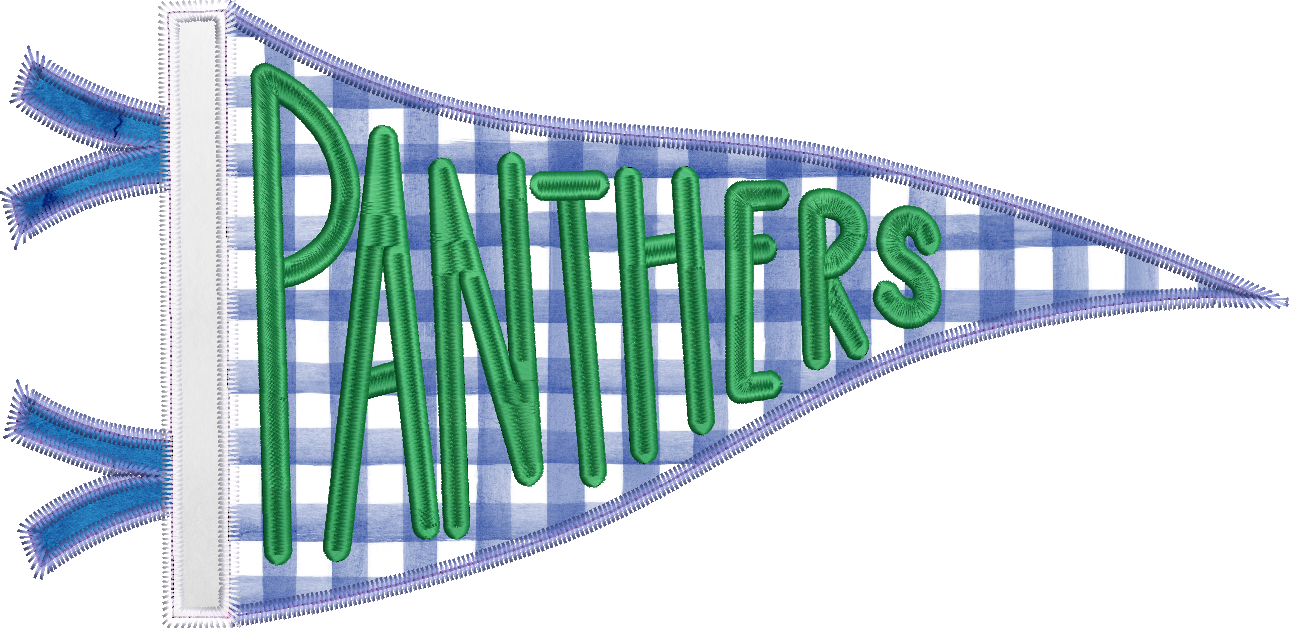 Panthers Handlettered Pennant Flag