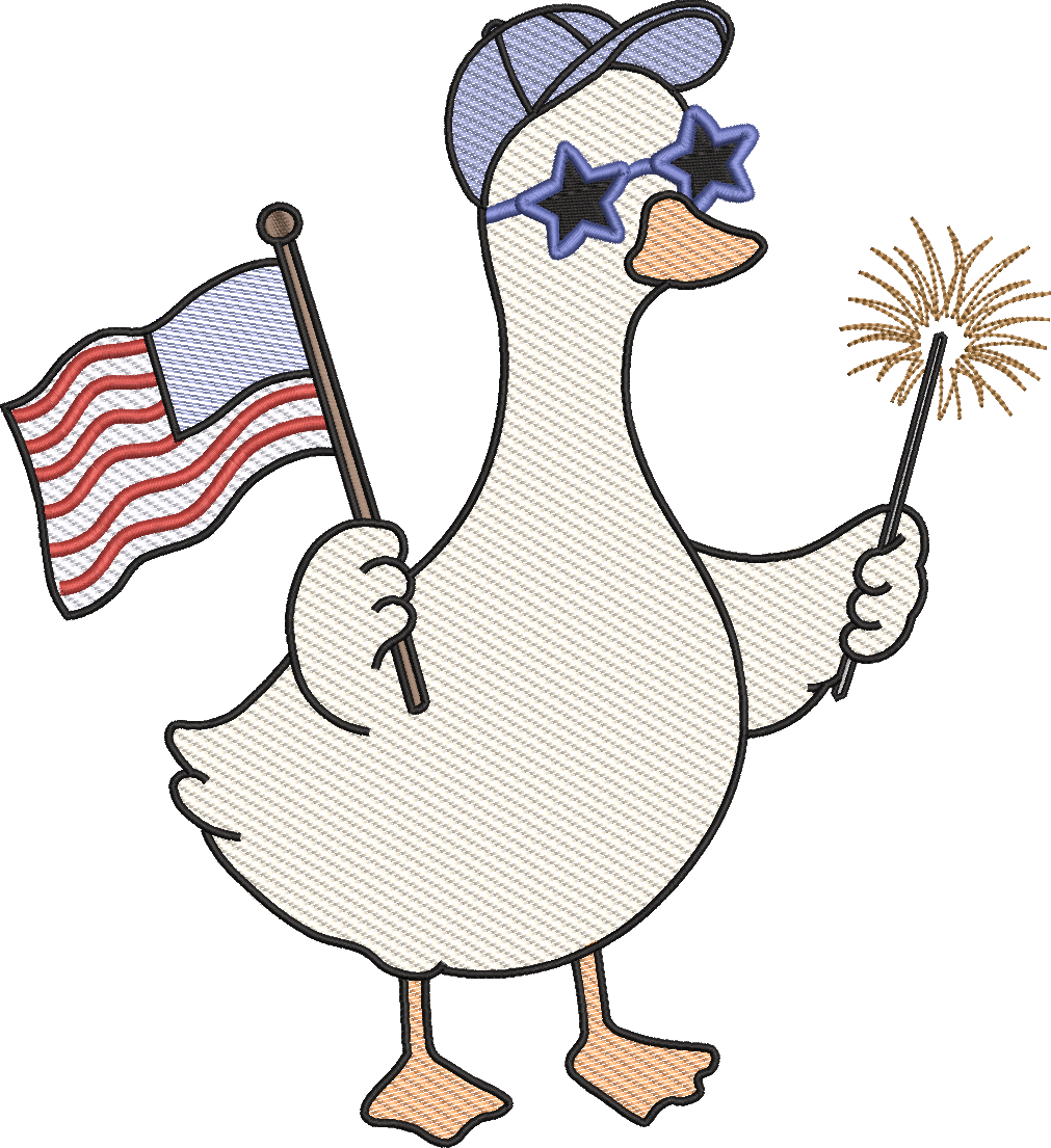 All American Silly Goose Boy