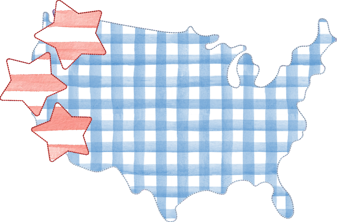 Bean Stitch Stars and Country