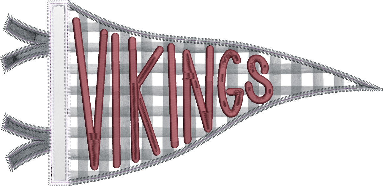 Vikings Handlettered Pennant Flag