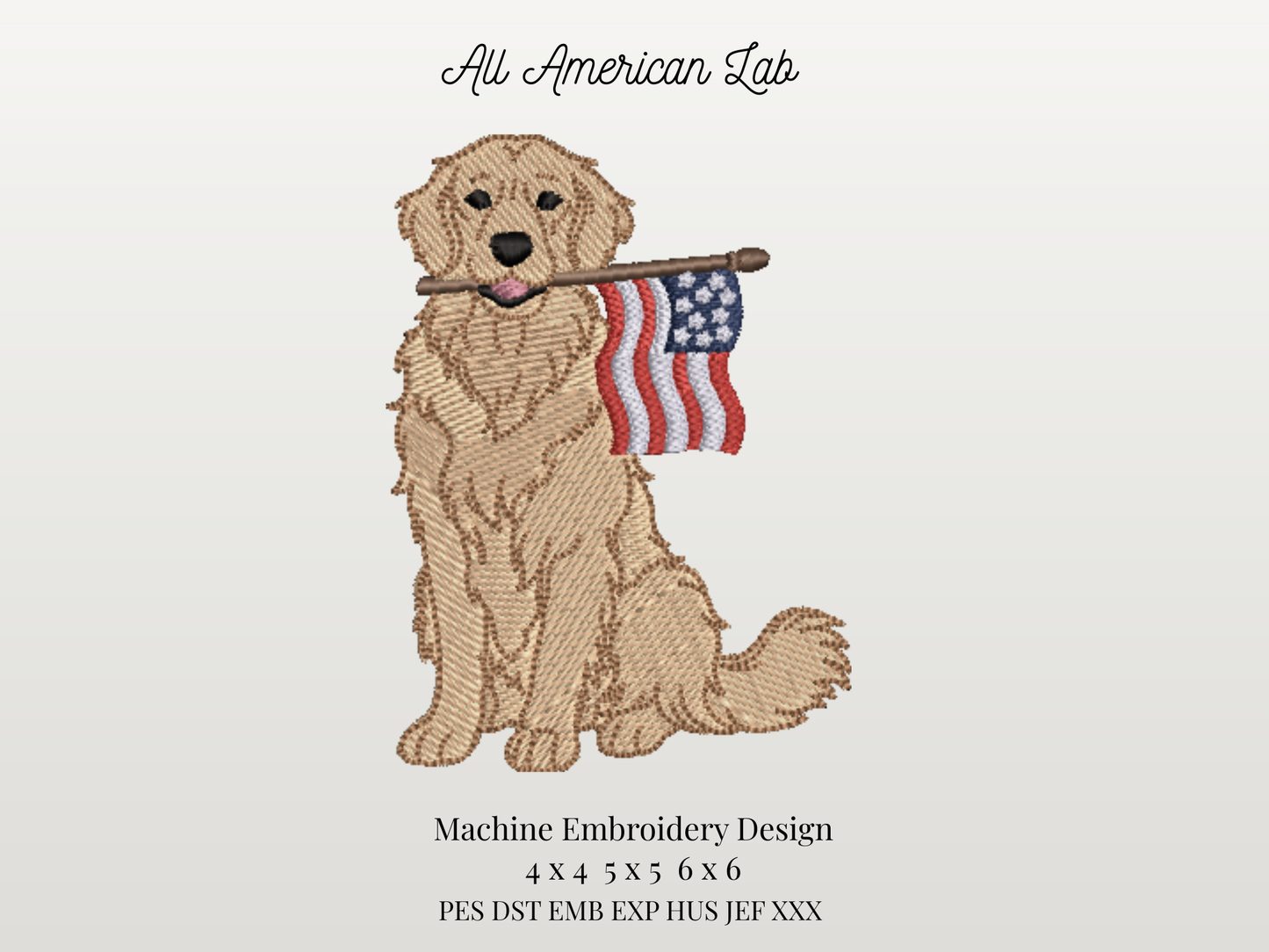 All American Labrador