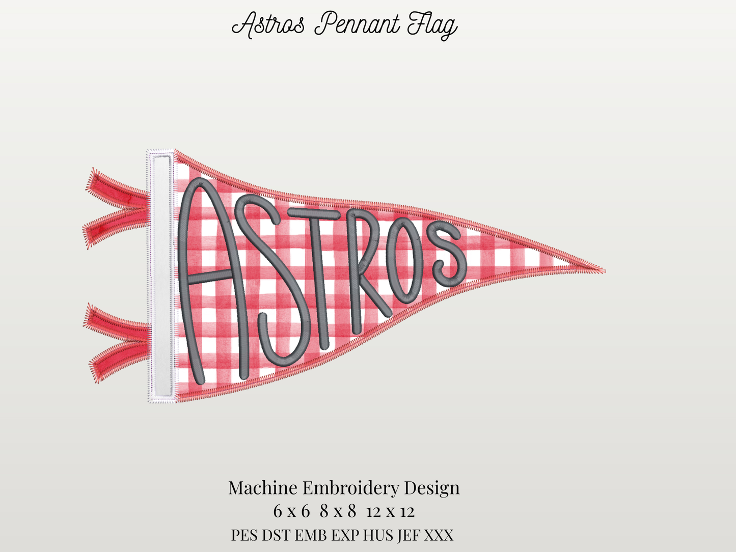 Astros Handlettered Pennant Flag