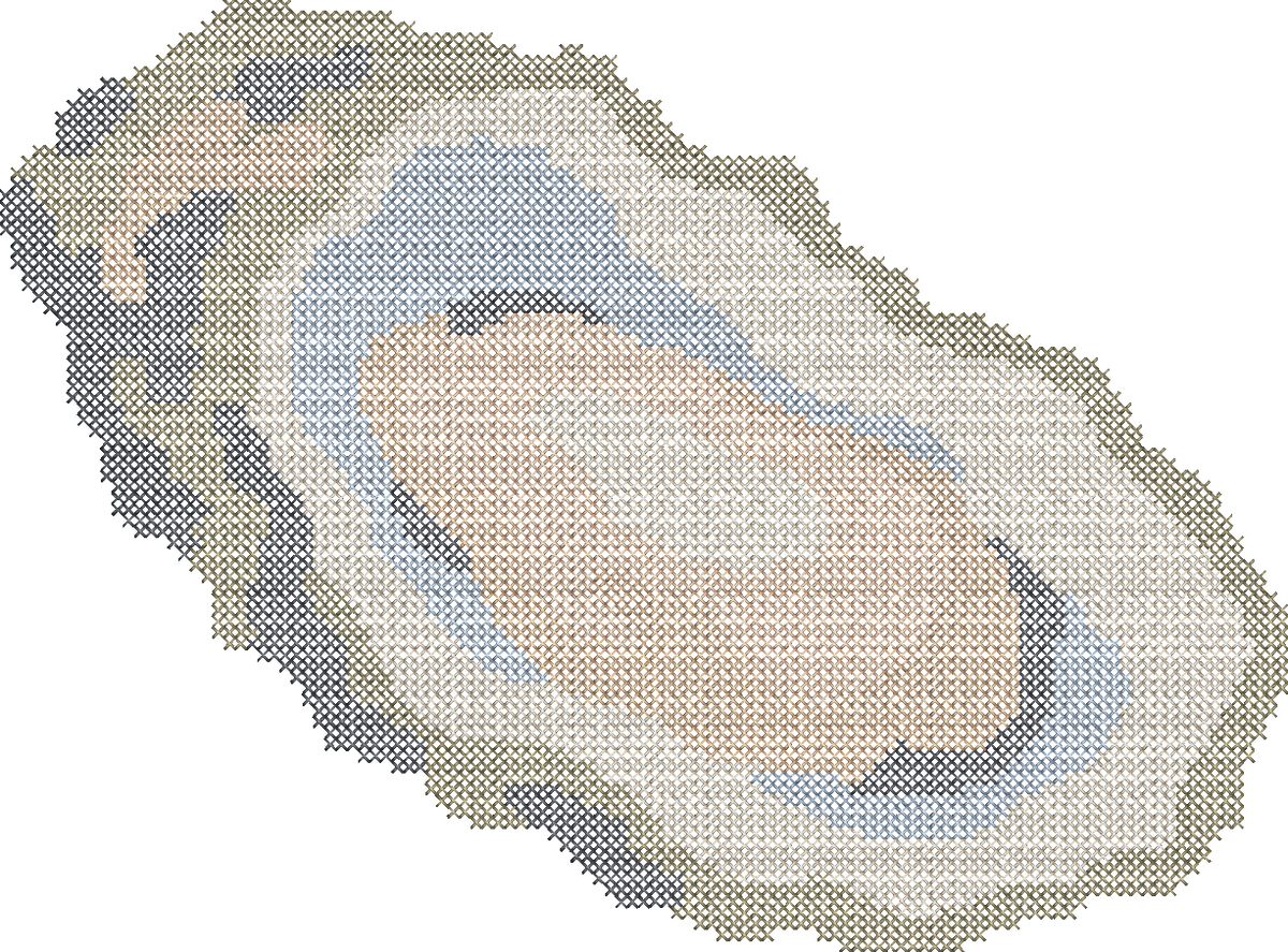 Cross Stitch Oyster