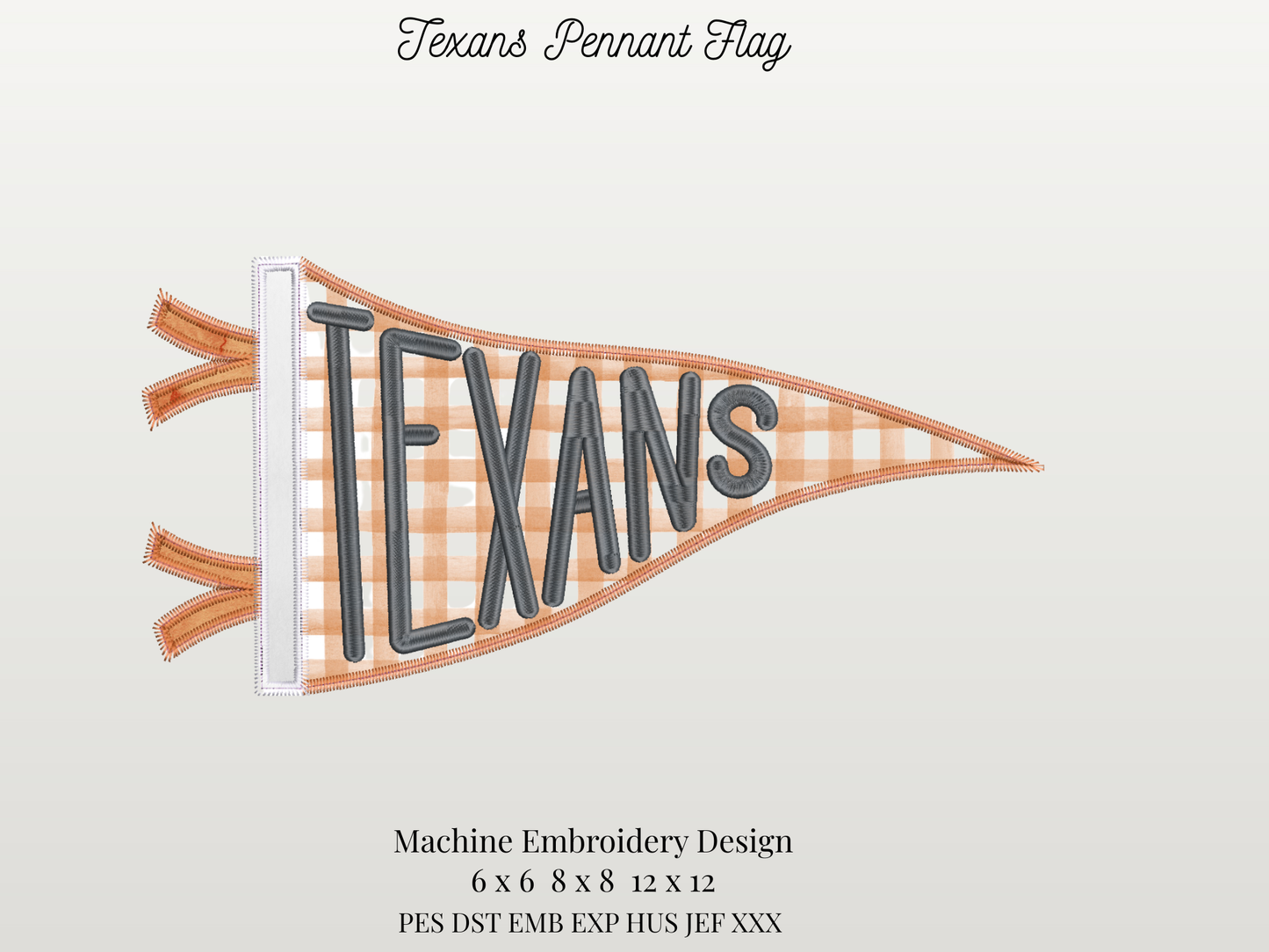 Texans Handlettered Pennant