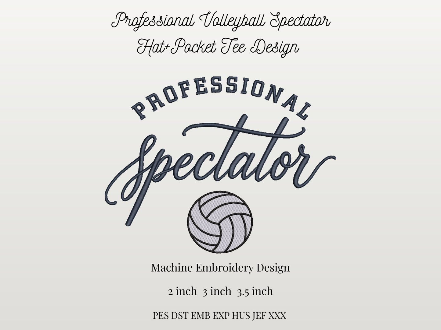 Professional Volleyball Spectator