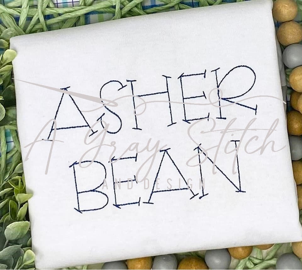Asher Bean Stitch Machine Embroidery Quick Stitch Font Boy Girl Font BX included